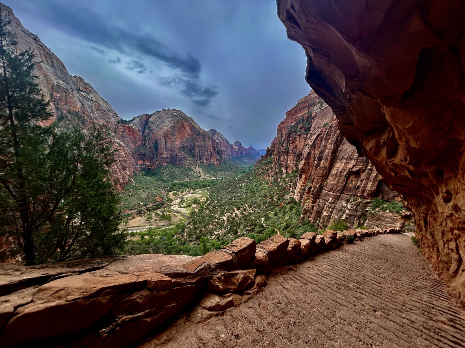 Striving to Reach New Heights: What is it You Want to Do